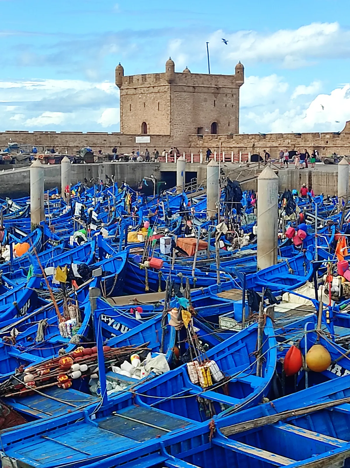 Puerto pesquero de Essaouira