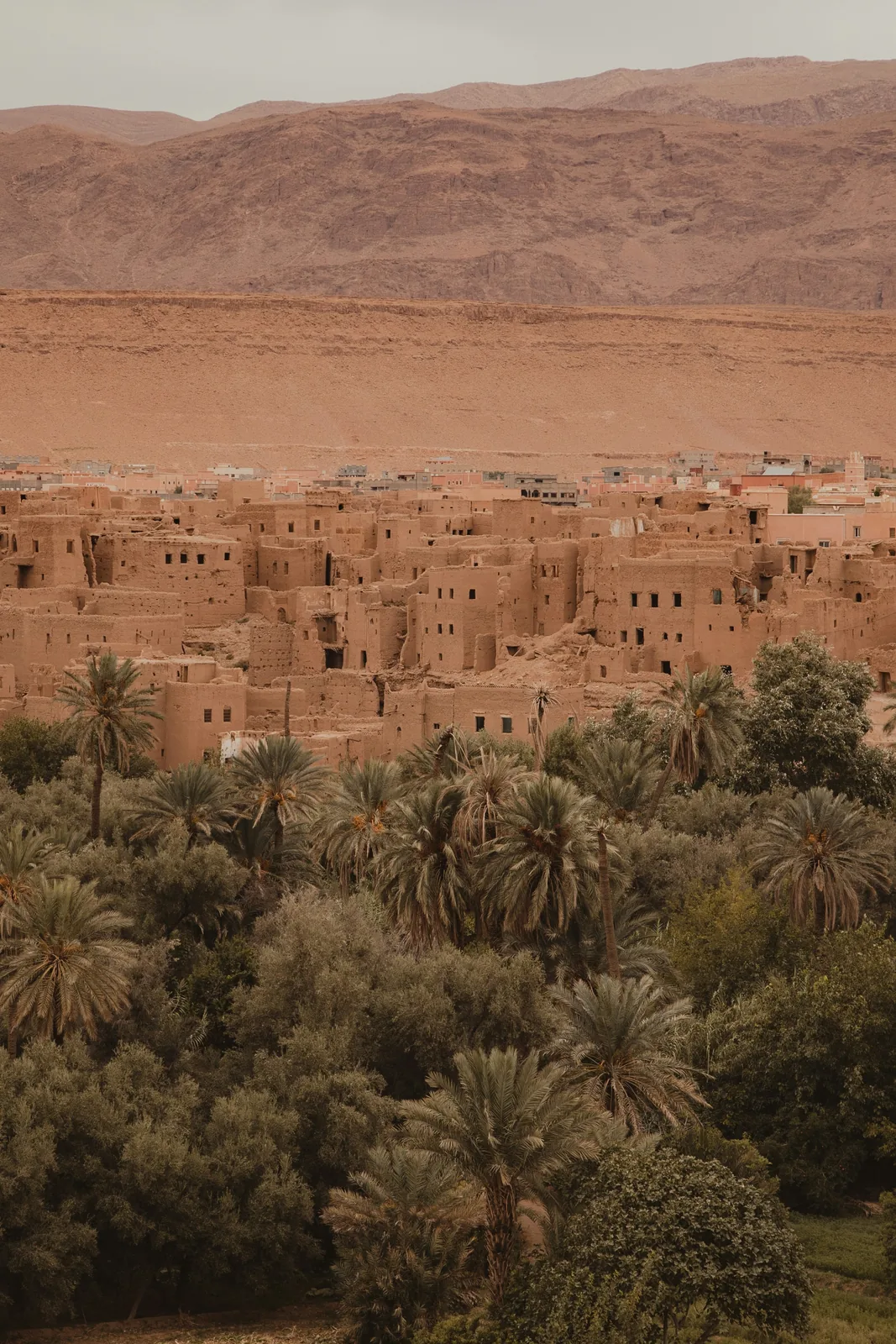Kasbah de adobe entre palmerales, vista aérea